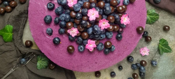 Blueberry chocolate cake with fresh blueberries