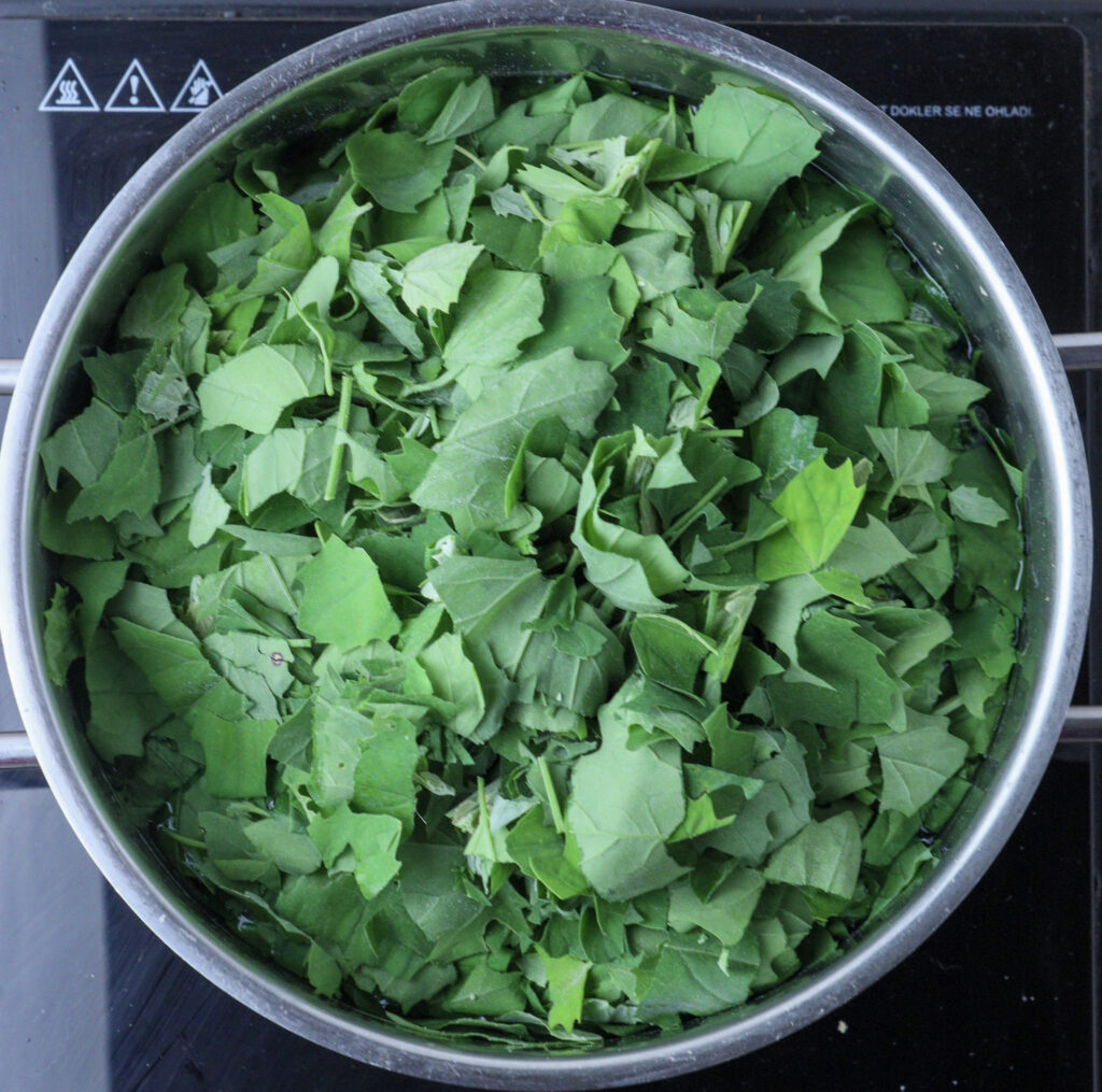 image of cooking wilds spinach