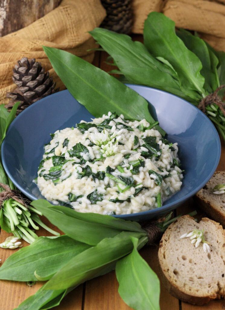 Wild garlic risotto garnished with wild garlic flowers and served with bread. 