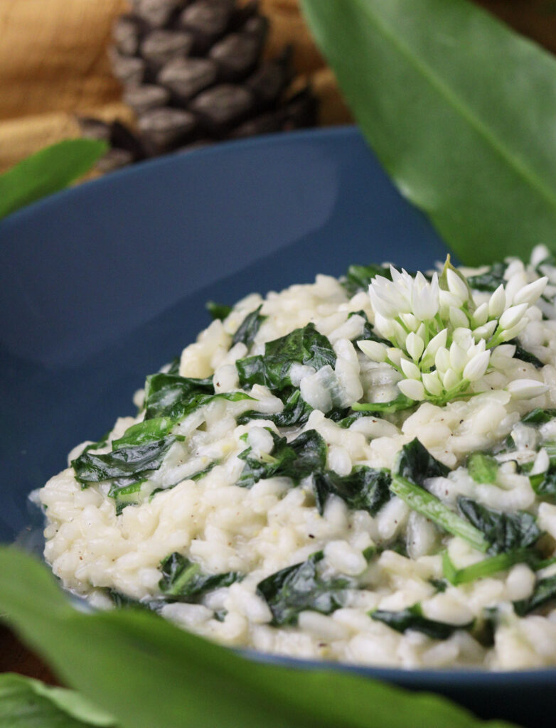 A close look of cooked wild garlic risotto 