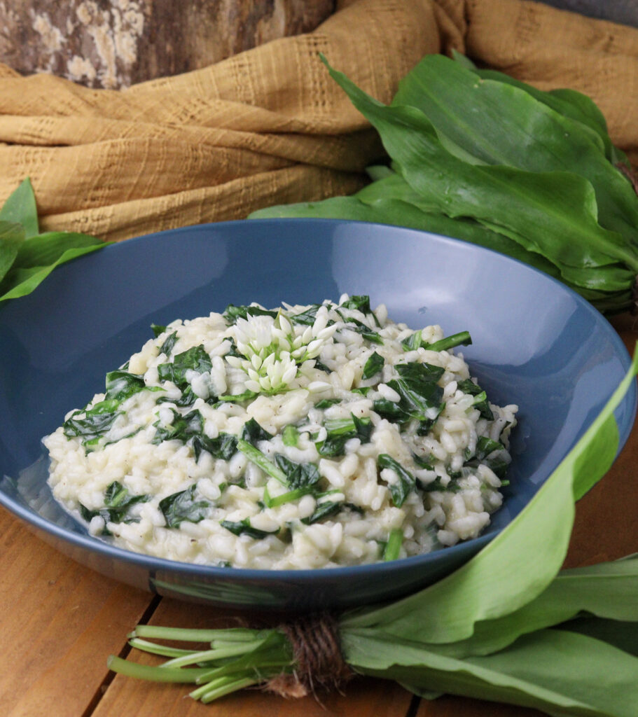 Wild garlic risotto served on a blue plate with wild garlic leaves in the background.
